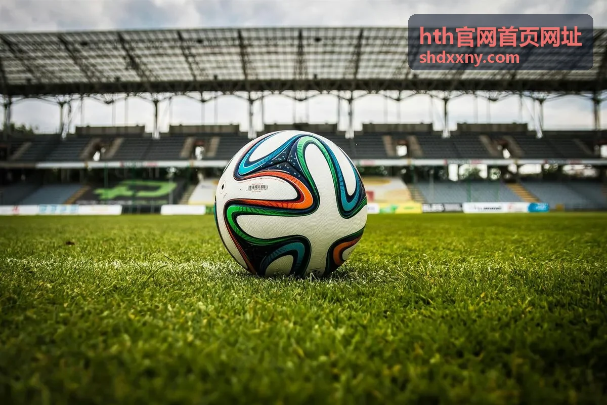 核对 hth官网首页网址 时逐字符比对地址栏信息
